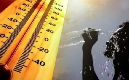 حرارة مرتفعة ورطوبة عالية...ماذا في التفاصيل؟