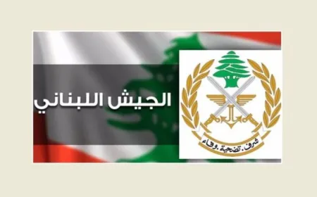 الجيش: توقيف مواطنَين ينقلان قذائف ومذنّبات وذخائر حربية