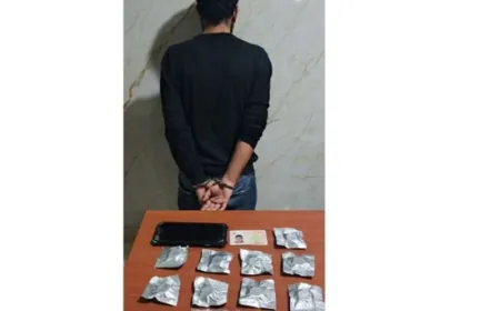 قوى الامن: توقيف مروّج مخدِّرات ناشط في صيدا