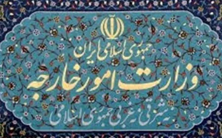 الخارجية الإيرانية تستدعي سفيرة سويسرا بصفتها رئيسة مكتب رعاية المصالح الأميركية