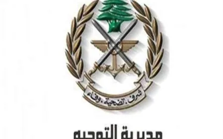 بعد تعثره وسقوطه في وادي قنوبين أنقذه الجيش