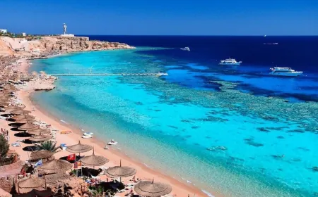 لبنانيون عالقون في شرم الشيخ يناشدون رئيسي الجمهورية والحكومة مساعدتهم للعودة