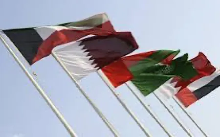 وزراء خارجية دول مجلس التعاون الخليجي: ضرورة وقف الحرب الإسرائيلية الإيرانية تفاديا لانزلاق نحو صراع أوسع لا يمكن التنبؤ بنتائجه