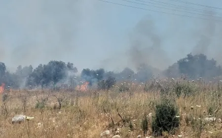 حريق في بساتين للزيتون المعمر في بيت الحوش - عكار وصعوبة في إخماده والاهالي ناشدوا قيادة الجيش المساعدة