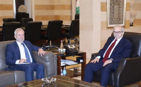 الرئيس نواف سلام يبحث مع النائبين حبشي وسعد قانون القنب وأوضاع بعلبك وصيدا والمخيمات الفلسطيني