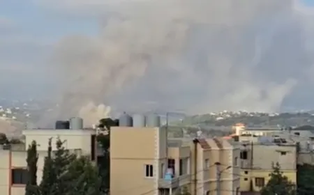 ملخص الغارات على جنوب لبنان: