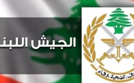 قيادة الجيش: تفجير ذخائر غير منفجرة في عماطور – الشوف مساء