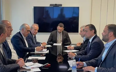 اللقاء الديمقراطي: لحصر السلاح بيد الدولة ومؤسساتها الأمنية والعسكرية الشرعية