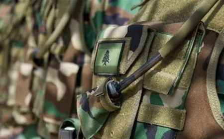 الجيش: توقيف شخصَين لارتكابهما جرائم مختلفة وضبط كمية من المخدرات وعدد من المستندات المزورة