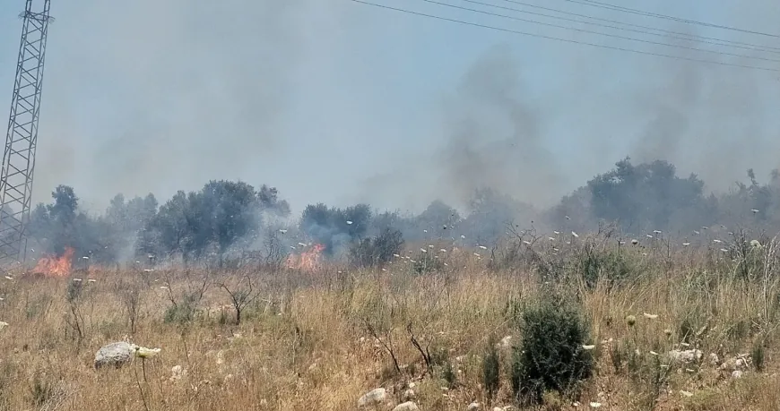 حريق في بساتين للزيتون المعمر في بيت الحوش - عكار وصعوبة في إخماده والاهالي ناشدوا قيادة الجيش المساعدة