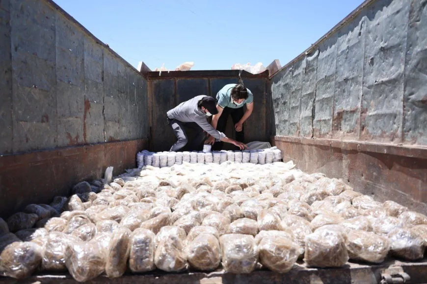ضربة أمنيّة كبرى: إحباط تهريب نصف مليون حبة كبتاغون من لبنان إلى سوريا