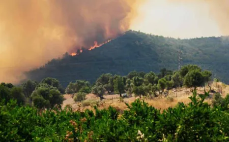 إجلاء أكثر من 50 ألف شخص جراء الحرائق في تركيا