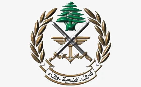 الجيش: تفجير ذخائر غير منفجرة في بلدة الناقورة