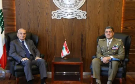وزير الدفاع الوطني يستقبل القائد الجديد لليونيفيل ووفدًا فرنسيًّا: ضرورة التمديد لولاية اليونيفيل