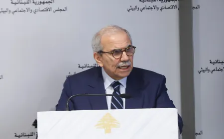 لبنان بين التحديات والفرص: كلمة رئيس الحكومة أمام المجلس الاقتصادي والاجتماعي والبيئي