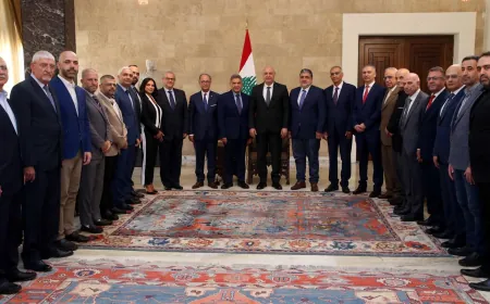 الرئيس عون: لعدم الاضرار بسمعة الأطباء المتمتعين بمهنية واحترافية