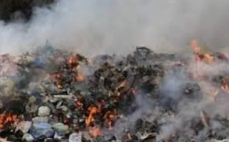 أهالي دير عمار يناشدون وضع حد لحرق النفايات في جبل البلدة