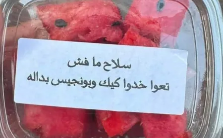في مضائف الضاحية: "سلاح ما فش، تعوا خذوا كيك و بونجيس بداله"
