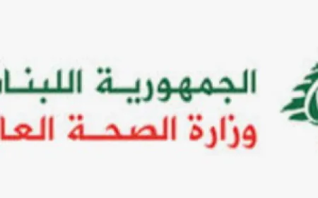 وزارة الصحة اللبنانية: شهيد و3 جرحى في غارة إسرائيلية استهدفت مركبة في منطقة خلدة جنوب بيروت