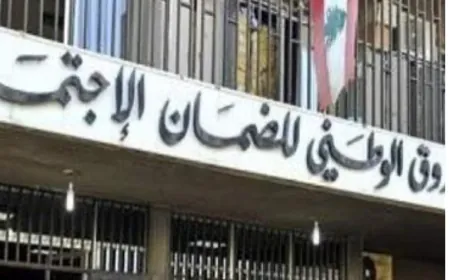 "الضمان" يطلق آليّة جديدة لتنظيم إستشفاء المواليد