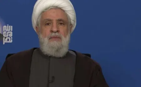 قاسم: الضغط الأميركي والإسرائيلي لن يُسقط “المقاومة”
