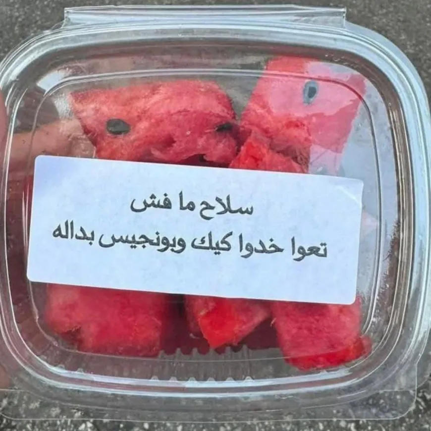 في مضائف الضاحية: "سلاح ما فش، تعوا خذوا كيك و بونجيس بداله"