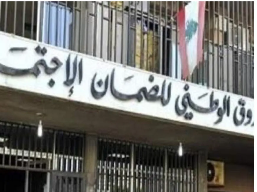 "الضمان" يطلق آليّة جديدة لتنظيم إستشفاء المواليد