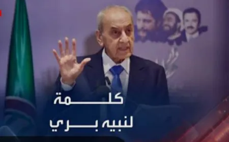 "حوار بري على السلاح… انقلاب على الدستور"