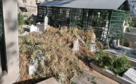 "فضيحة وطنية: شهداء طرابلس الأطفال بلا قبرٍ يحميهم ولا دولة تذكرهم"