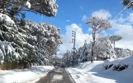 *موجة صقيع وتجمد تقترب من لبنان.. مع اندفاع هواء قطبي قاس سيضرب الجبال المتوسطة والبقاع.. درجات الحرارة ستغوص تحت الصفر من مساء الثلاثاء وحتى صباح الخميس ما يرفع خطر تجمد المياه  في قساطل المنازل وضرورة وضع مادة Antifreeze في السيارات لتفادي الأعطال*
