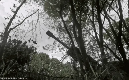 القوات الروسية تسيطر على بلدتين في سومي ودونيتسك