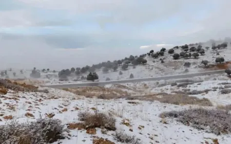 طقس مستقّر يسيطر على لبنان... كيف ستكون درجات الحرارة؟ كيف سيكون طقس لبنان؟