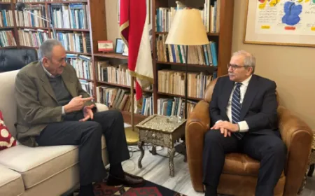 بين مسيّرات إسرائيلية وخطة الجيش: سلام يضع حصر السلاح على سكة التنفيذ الكامل