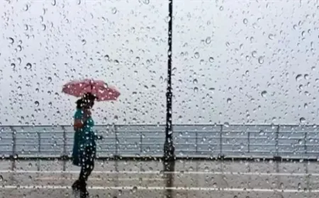 بعد الطقس المستقر... لبنان على موعد مع منخفض جوي بارد!