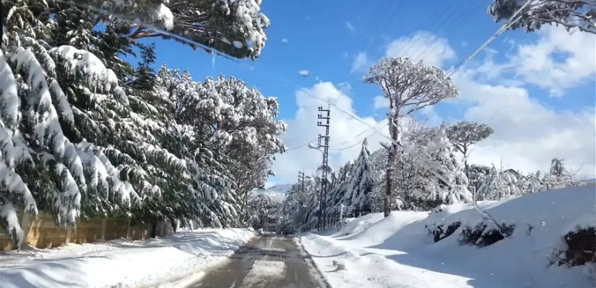 *موجة صقيع وتجمد تقترب من لبنان.. مع اندفاع هواء قطبي قاس سيضرب الجبال المتوسطة والبقاع.. درجات الحرارة ستغوص تحت الصفر من مساء الثلاثاء وحتى صباح الخميس ما يرفع خطر تجمد المياه  في قساطل المنازل وضرورة وضع مادة Antifreeze في السيارات لتفادي الأعطال*