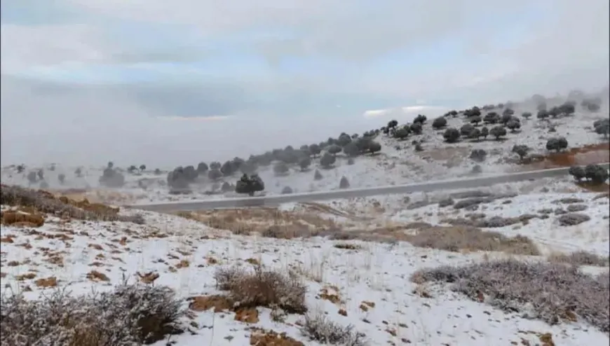 طقس مستقّر يسيطر على لبنان... كيف ستكون درجات الحرارة؟ كيف سيكون طقس لبنان؟