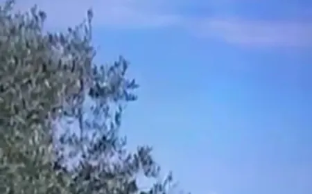 متداول بالفيديو  - يجري إجلاء أفراد لبنانيين وأمريكيين من قاعدة جوية في شمال لبنان وسط مخاوف من أن تصبح هدفاً محتملاً لإيران .