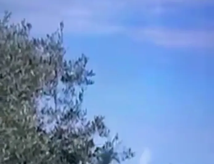 متداول بالفيديو  - يجري إجلاء أفراد لبنانيين وأمريكيين من قاعدة جوية في شمال لبنان وسط مخاوف من أن تصبح هدفاً محتملاً لإيران .