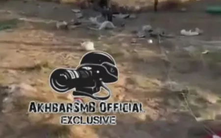 بالفيديو  الطيار الأمريكي بعد سقوط طائرته في الكويت