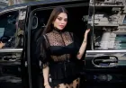 هيفاء وهبي تختار الأسود في إطلالاتها الفنية الأخيرة