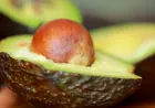 بذور الأفوكادو.. كنز غذائي تستحق الحفظ بدلاً من الرمي