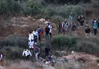 مستوطنون يعتدون على دبلوماسيين أوروبيين في الضفة الغربية