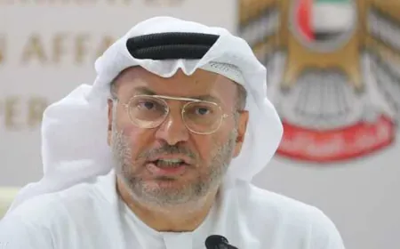 قرقاش: هناك ضرورة لإحياء العمل الخليجي المشترك