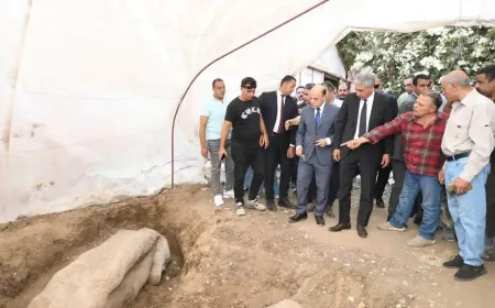 مصري يعثر على تمثالين أثريين ضخمين أمام منزله.. أحدهما لرمسيس الثاني ويُكافأ برحلة عمرة