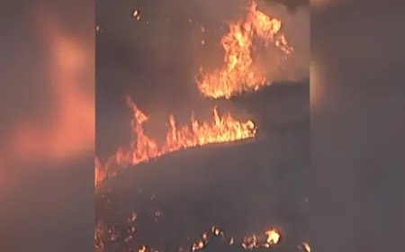 حرائق غابات تتمدد في جنوب كاليفورنيا.. ورياح "سانتا آنا" تزيد المخاطر