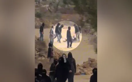 لحظة تعرض الصحفية هايدي ليفين لهجوم من مستوطنين إسرائيليين في الضفة الغربية
