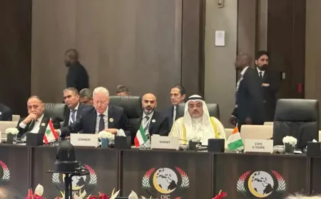 رجي أمام "منظمة التعاون الإسلامي": ندعو إيران وأذرعها إلى وقف الاعتداءات على دول الخليج والأردن