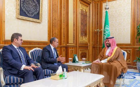 ولي العهد السعودي يستقبل وزير الخارجية المصري ورسالة من القاهرة