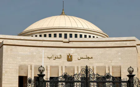 نواب مصريون يعلقون بعد تفويض السيسي لإرسال قوات مصرية إلى السعودية