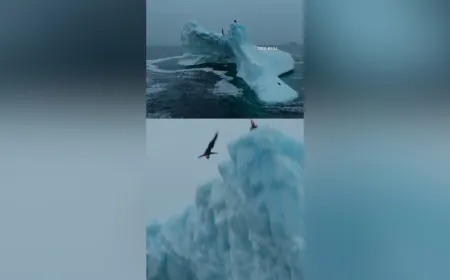 غطّاسة كندية تحقق إنجازاً تاريخياً بقفزة جريئة من جبل جليدي